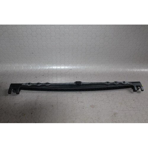 BMW E89 Z4 Skiauflage für Gepäckraum 9170851