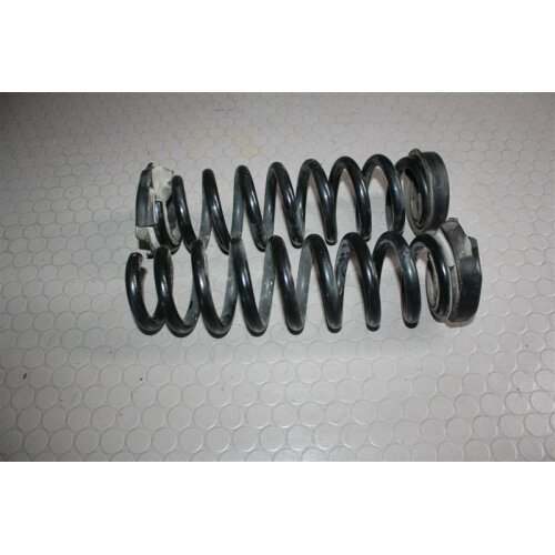 BMW 3er E91 318i BJ2010 105KW Feder Federn hinten links rechts