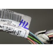 Opel Vivaro BJ2004 Türkabelbaum Kabelbaum Tür hinten links 93852064